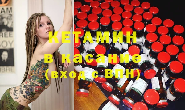 прущие грибы Медвежьегорск
