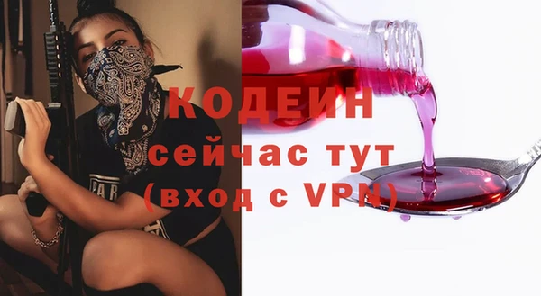 прущие грибы Медвежьегорск