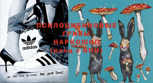 дживик Магас