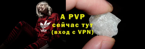 дживик Магас