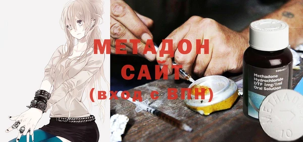 прущие грибы Медвежьегорск