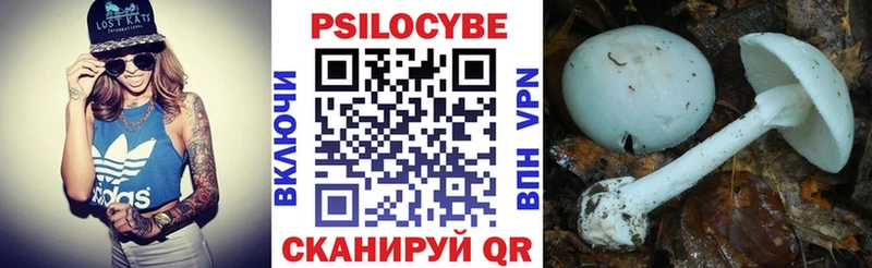 Галлюциногенные грибы прущие грибы  blacksprut вход  Спасск-Рязанский 